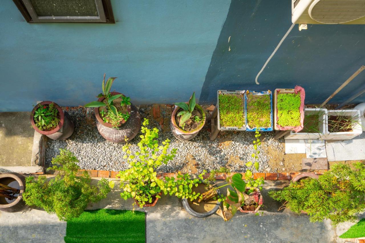 An Bang Sea Adventure Homestay Hoi An Bagian luar foto